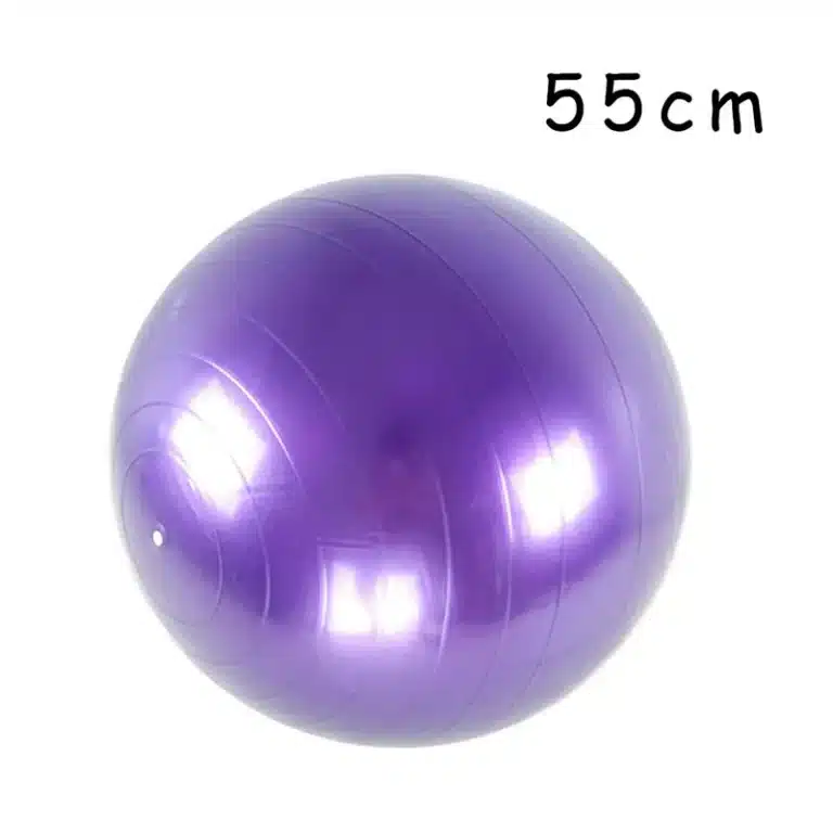 Boule de Fitness/Yoga anti-éclatement, travail de l'équilibre,équipement épais et résistant en PVC pour la gym, Pilates, activités physiques à la maison, 45 cm/55 cm/65 cm/75 cm/85 cm, 32